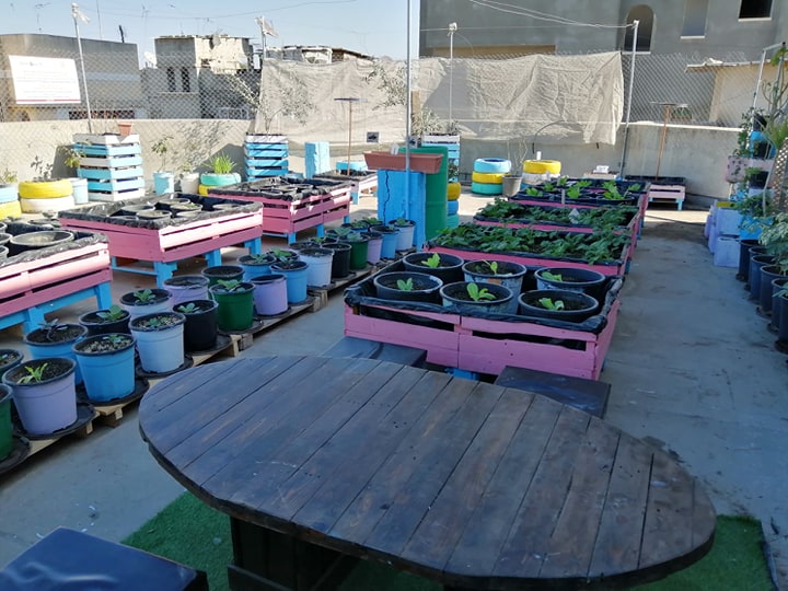 79268491 2516122035173468 7021662481122590720 N