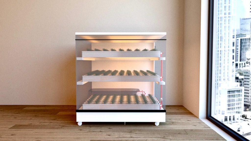 WhatsApp Image 2025 01 24 At 7.09.44 PM 1024x576