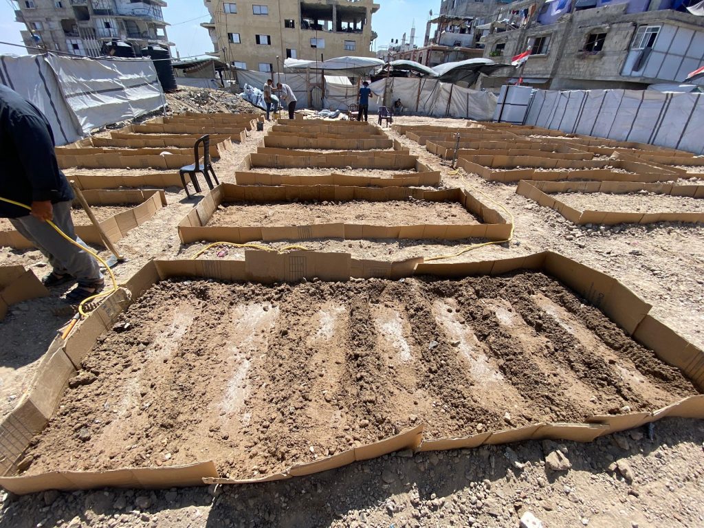 Raised beds planted at the Palestine Land Lab in Central Gaza