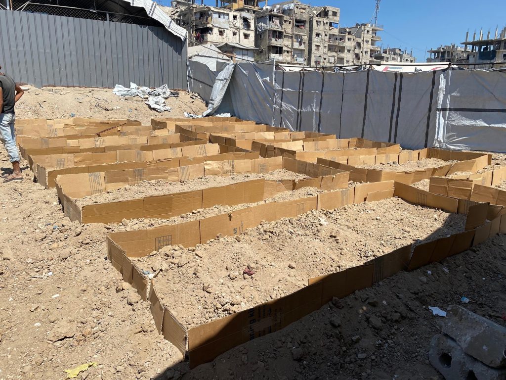 Wide view of the raised planting beds laid out at the Palestine Land Lab